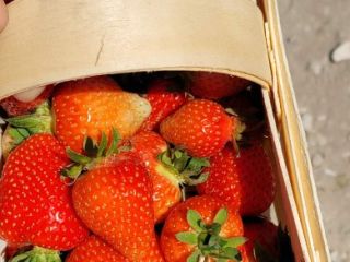 Sprzedam codziennie świeże truskawki różne odmiany proszę o kontakt