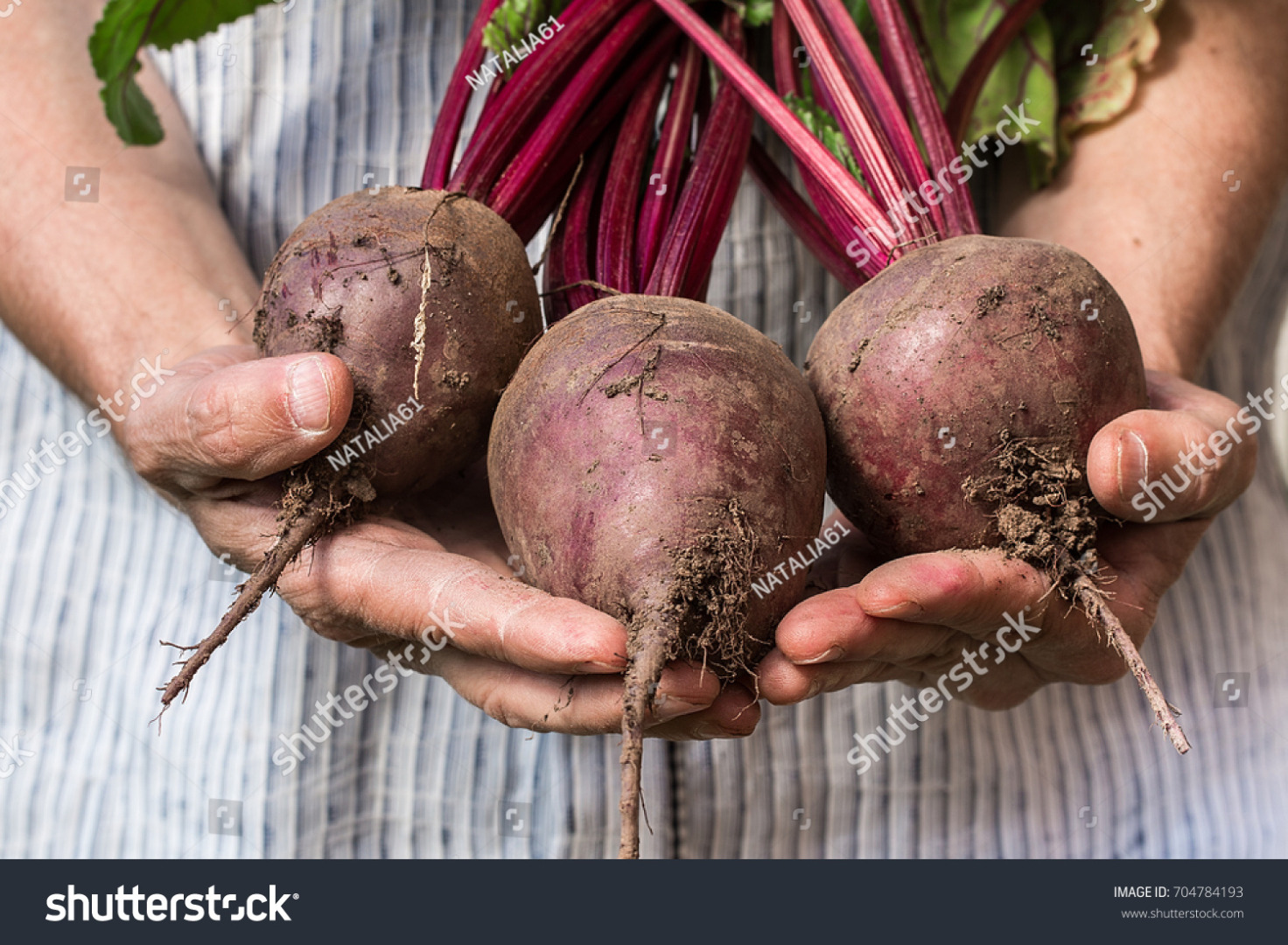 hello, we are a company that exports fruits and vegetables, if you need fresh onions cabbage beets watermelon tomatoes red peppers pepperoni contact us, every