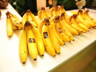 Świeże banany z Egiptu zapakowane w pudełko 20 kg
