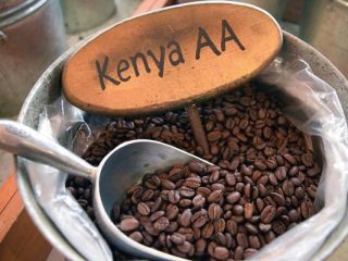 Ziarna kawy ROBUSTA Cena: 12,58 USD/kg Minimalne zamówienie: 10