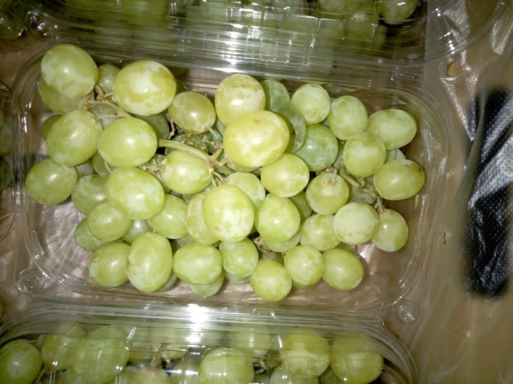 Świeże winogrona superior, szkarłatne, kulka czerwona - Opakowanie: waga netto kartonu 4,5 kg, w kartonie 10 woreczków foliowych, każdy woreczek foliowy o