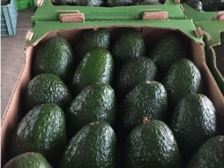 posiadamy świeże produkty i po więcej szczegółów prosimy o