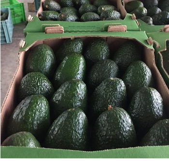 posiadamy świeże produkty i po więcej szczegółów prosimy o bezpośredni kontakt w celu przesłania oferty nasze ceny do negocjacji dane kontaktowe: email