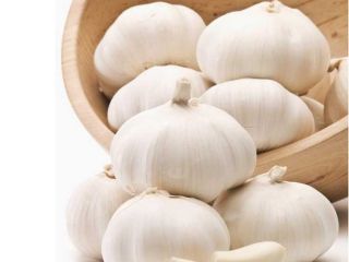 posiadamy świeże produkty i po więcej szczegółów prosimy o