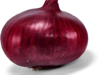 posiadamy świeże produkty i po więcej szczegółów prosimy o