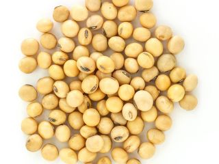 posiadamy świeże produkty i po więcej szczegółów prosimy o