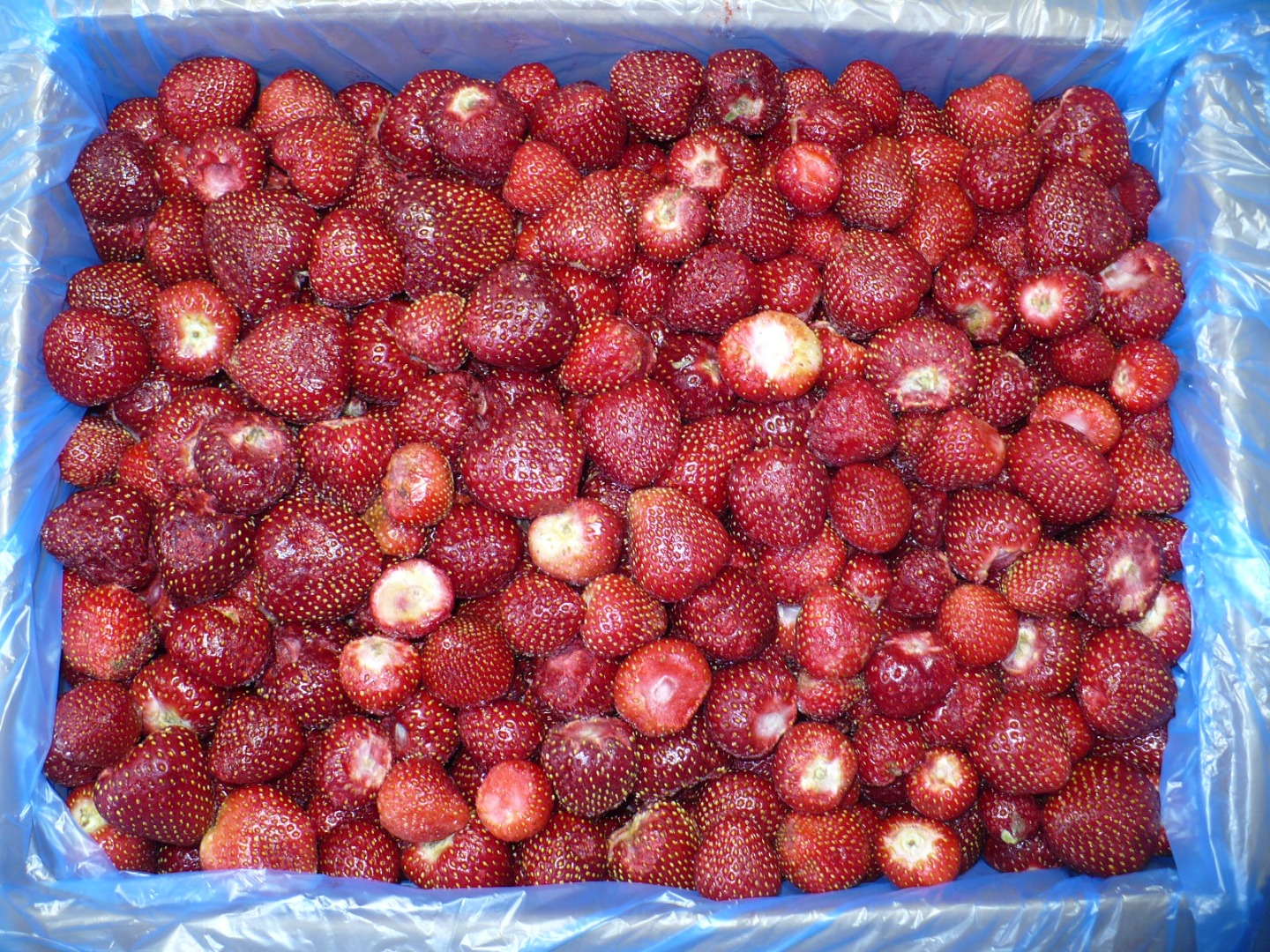 Sprzedam mrożone truskawki