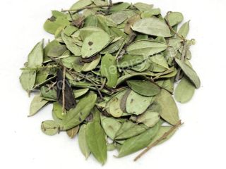 Sprzedam Borówkę brusznica liść (Vitis idaea folium), duże ilości