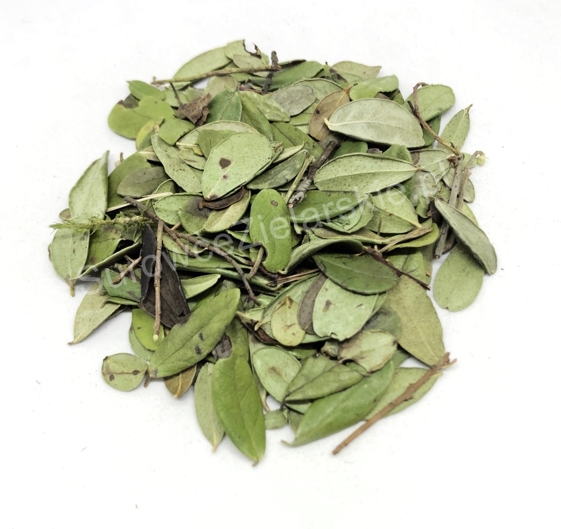 Sprzedam Borówkę brusznica liść (Vitis idaea folium), duże ilości z magazynu w Lublinie