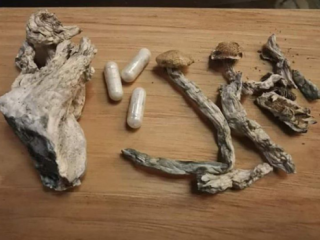 Skrzynka odbiorcza na sprzedaż magicznych grzybów po więcej szczegółów