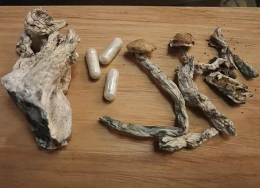 Skrzynka odbiorcza na sprzedaż magicznych grzybów po więcej szczegółów