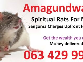 Amagundwane Powerful Money Spells in South Africa/Lesotho/Zimbabwe | Call/