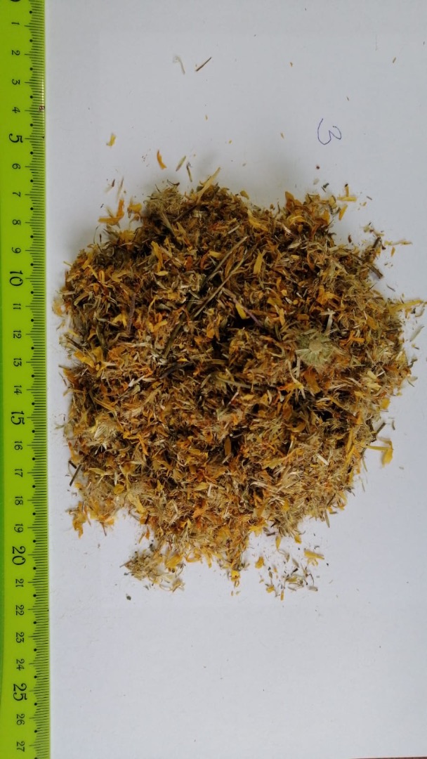 Witam sprzedam ziolo i kwiat Arnica chamissonis Arnica Montana Ilosci tonowe Rowniez mamy bardzo duzo innych ziol do zaoferowanja