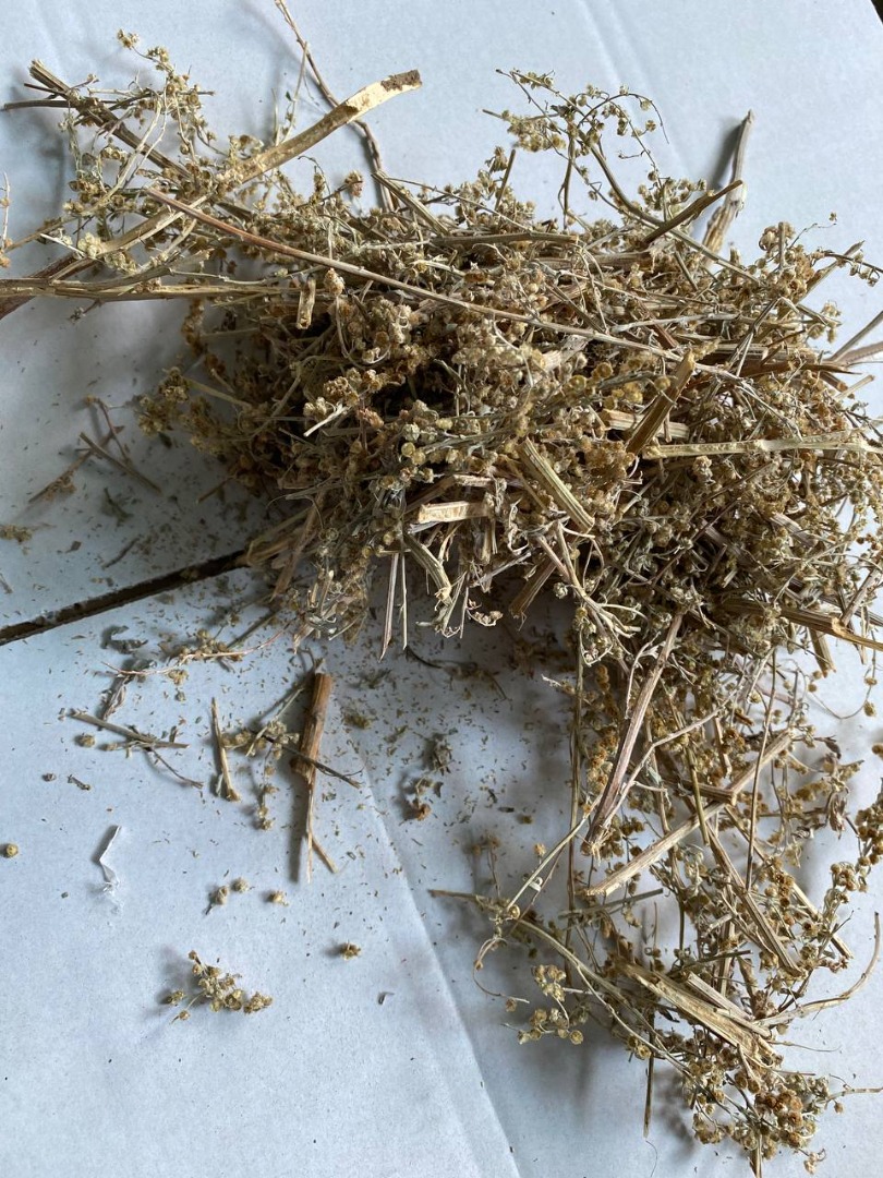 Sprzedam Piołun ziele (Absinthii herba ), duże ilości z magazynu w Lublinie