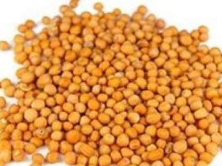 Nasza firma SEEDMARKET LLC z siedzibą w Moskwie w