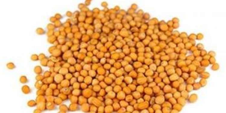 Nasza firma SEEDMARKET LLC z siedzibą w Moskwie w Rosji zajmuje się hurtowym handlem zbożem, roślinami strączkowymi i nasionami oleistymi zarówno w kraju, jak