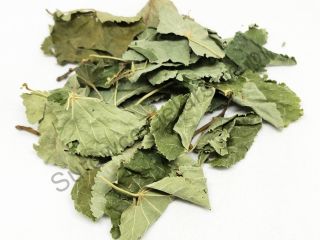 Sprzedam Lipa liść (Tilia cordata folium), duże ilości z