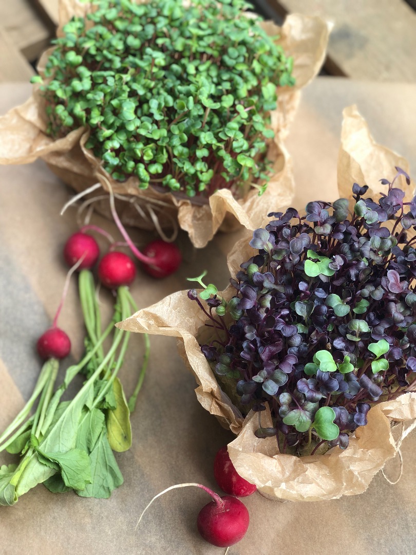 Dzień dobry, zajmujemy się uprawą mikrozioł (microgreen)