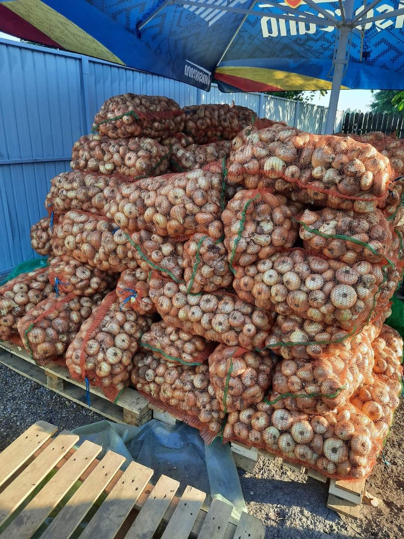Sprzedaję hurtowo cebulę rumuńską