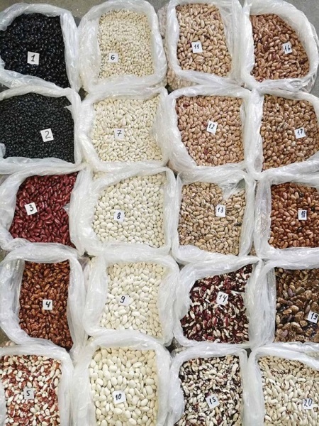 Fasola (Ukraina) różne odmiany Ukraińska firma "Bins Naturprodukt" oferuje zakup fasoli luzem