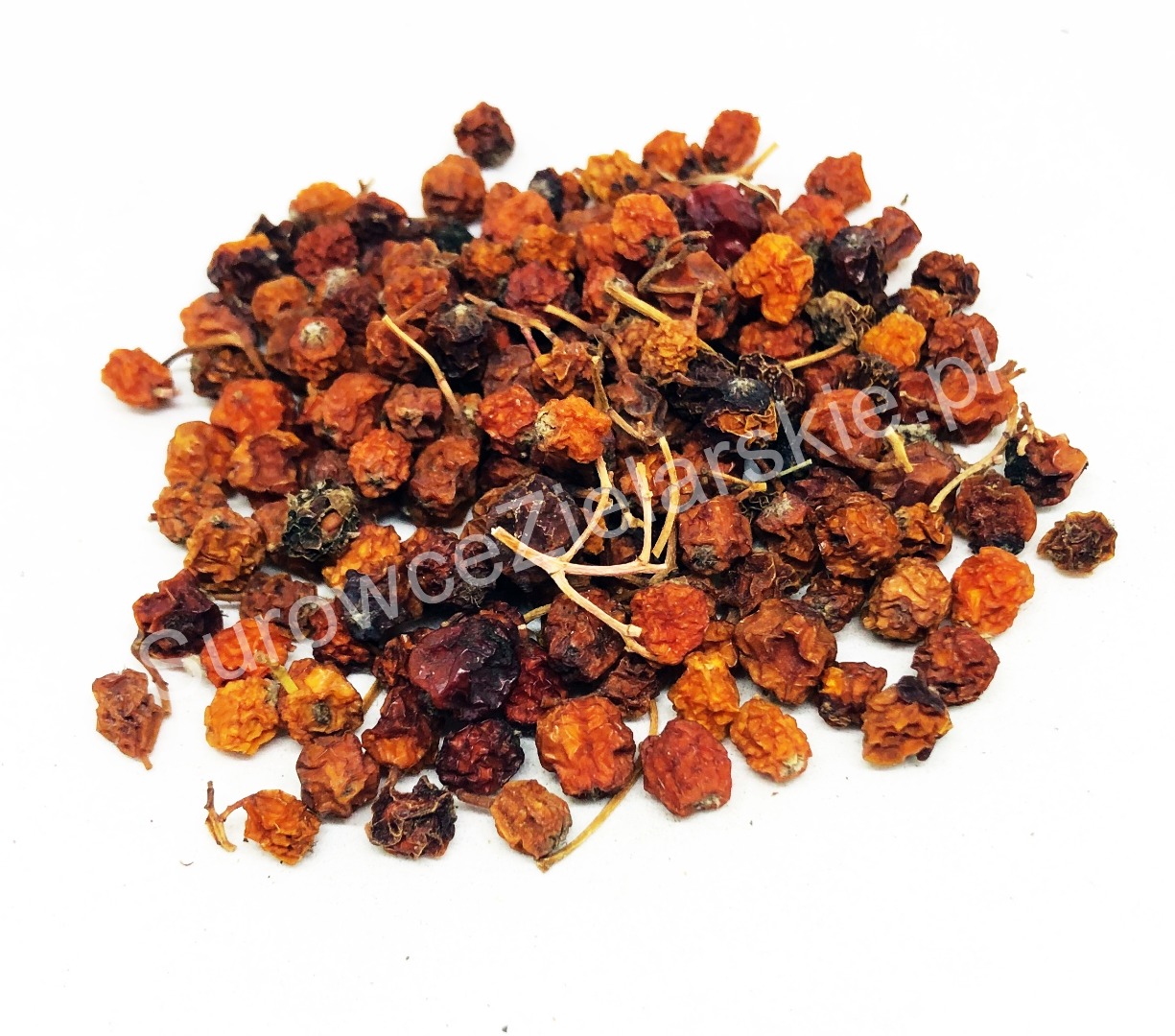 Sprzedam Jarzębina owoc ( Sorbus aucuparia fructus ), duże ilości z magazynu w Lublinie