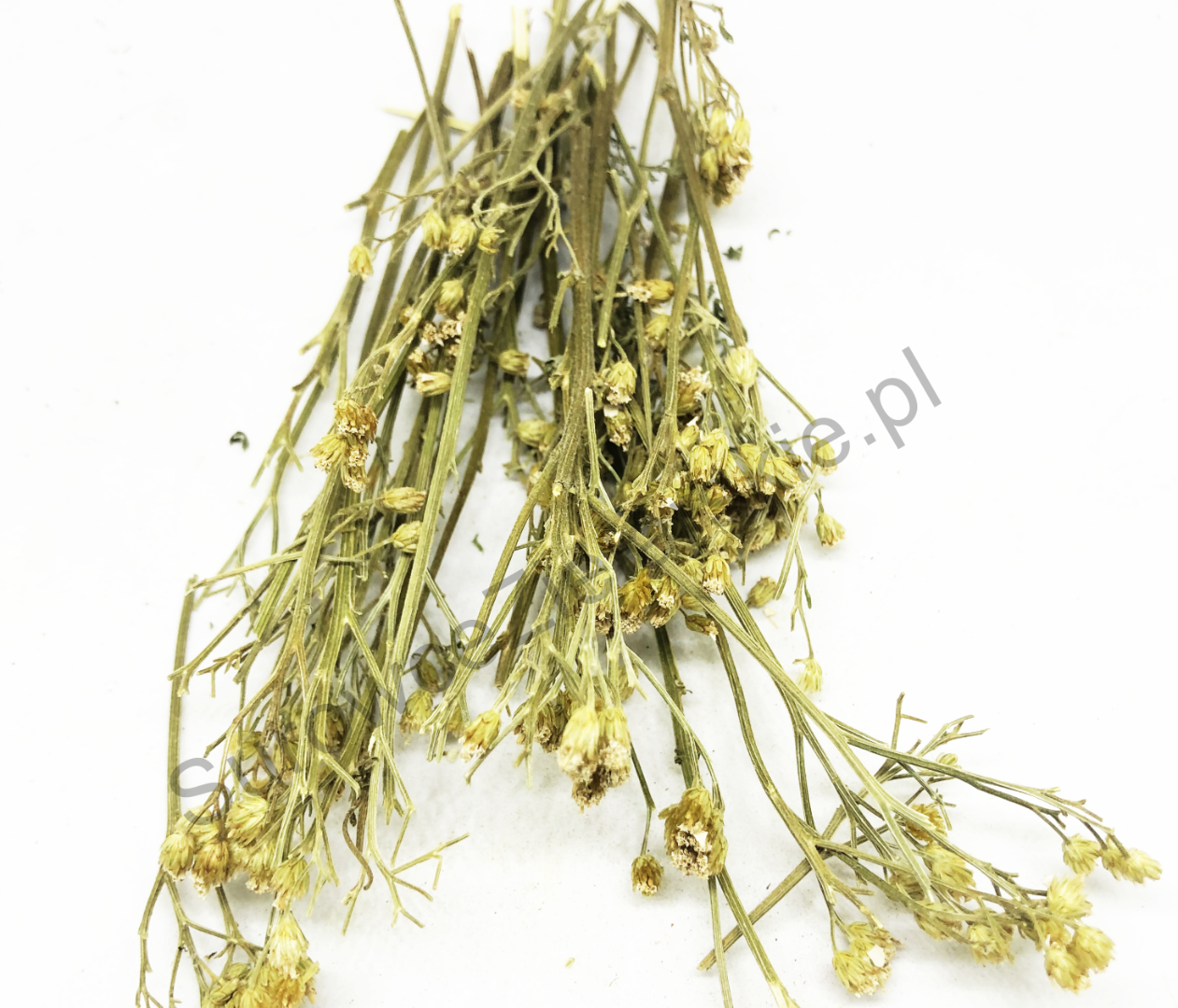 Sprzedam Krwawnik kwiat (Millefolii flos) i Krwawnik ziele (Millefolii herba), duże ilości z magazynu w Lublinie