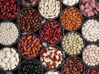Ukraińska firma „Bins Naturprodukt” zajmuje się sprzedażą hurtową fasoli