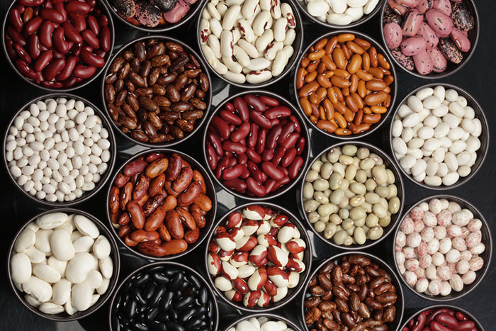 Ukraińska firma "Bins Naturprodukt" zajmuje się sprzedażą hurtową fasoli (asortyment)
