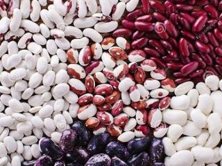 Oferujemy zakup fasoli luzem od firmy Bins Naturprodukt (Ukraina).