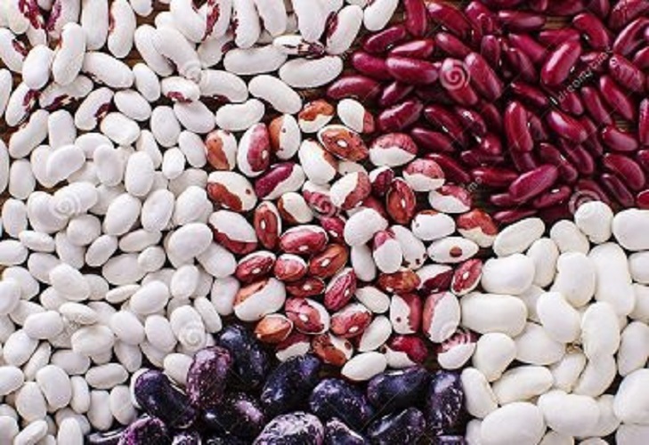 Sprzedaż fasoli, nowe zbiory Oferujemy hurtowy zakup fasoli z Bins Naturprodukt (Ukraina)
