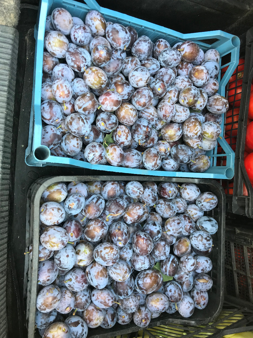 Kraj pochodzenia suszonych śliwek Rumunia, okręg Giurgiu
