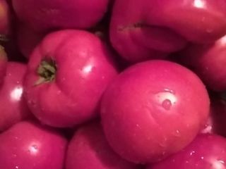 Sprzedam pomidory ogrodnicze naturalnie uprawiane. Spożycie indywidualne. Ważna ilość