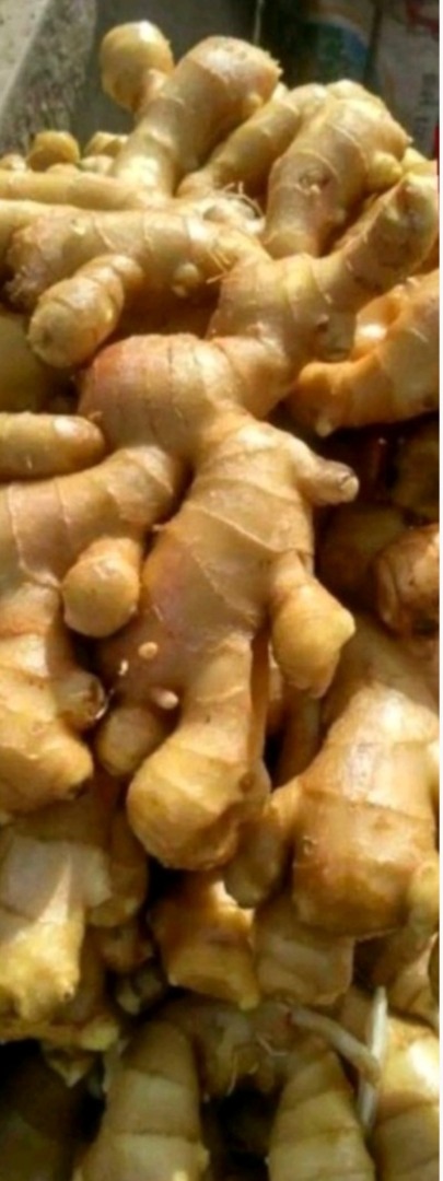 Najlepszy organiczny imbir uprawiany lokalnie w Ugandzie bez użycia żadnych chemikaliów