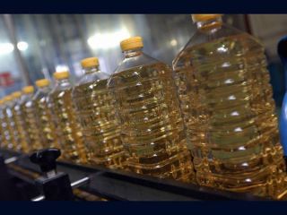 Firma BluFrogLimited.produce and sells soybean oil, sunflower oil, rapeseeed