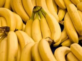 Nazwa produktu Fresh Cavendish Banana Duży Rozmiar Z Turcji