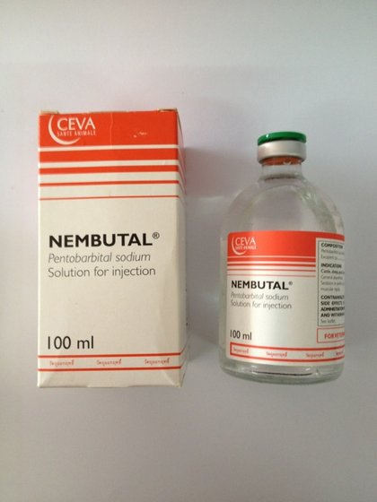 Kup Nembutal, Kup Pentobarbital Sodium Online Nembutal należy do klasy barbituranów i działa jako środek depresyjny lub uspokajający