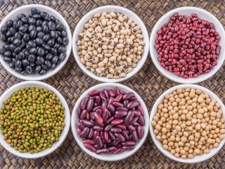 Bins Naturproduct sprzedaje wysokiej jakości ziarna z dostawą na