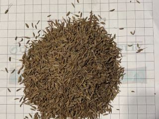 sprzedam kminek, jest 19500kg w 25 kg ppb, cena