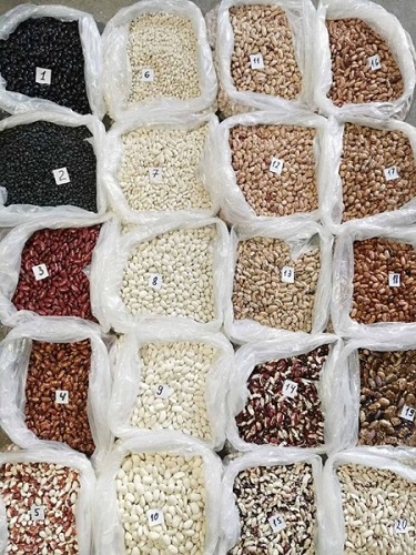 Ziarna wysokiej jakości z Ukrainy Bins Naturproduct sprzedaje wysokiej jakości ziarna z dostawą na terenie całej Europy i Azji
