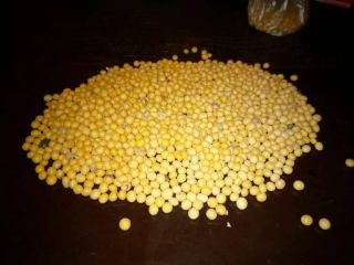 Sprzedam 200 ton soi, 200 ton. Soja z produkcji