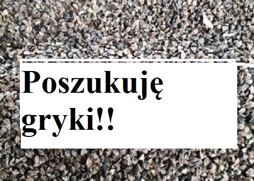 Witam