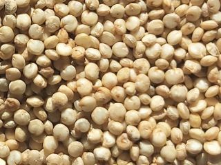 Quinoa to wyjątkowy produkt pochodzący z peruwiańskich Andów. Jednak