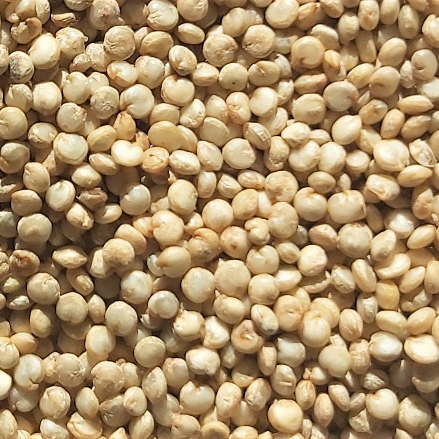 Quinoa to wyjątkowy produkt pochodzący z peruwiańskich Andów