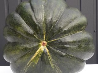 Sprzedam dynię muscat de provence ładnie wybarwiona różnego kalibru