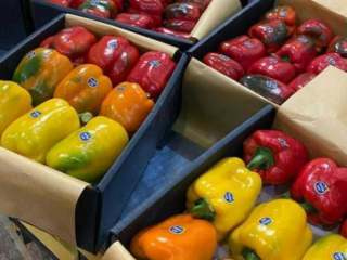 Rodzaje produktów z papryki kolorowej w różnych rozmiarach i