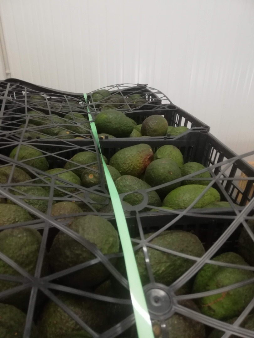 Minimalna ilość 1000 kg Zapewniona jakość