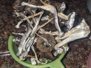 Uprawiamy najlepsze grzyby i topowe produkty ekologiczne z gorąco