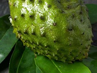 Soursop to rodzaj owocu, który jest używany w medycynie