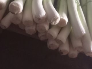 Sprzedam długiego pora nadaje się na tacki więcej informacji