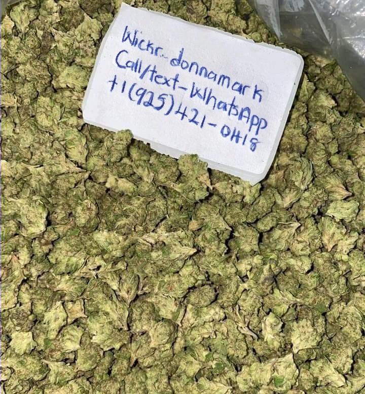 MARIHUANA NAJWYŻSZEJ JAKOŚCI DLA WSZYSTKICH PACJENTÓW Z RAKIEM I MIŁOŚNIKÓW ZIAREN, DOSTĘPNA JEST RÓWNIEŻ NASIONA I OLEJ, DOSTĘPNA JEST LICENCJA/KARTA MEDYCZNA